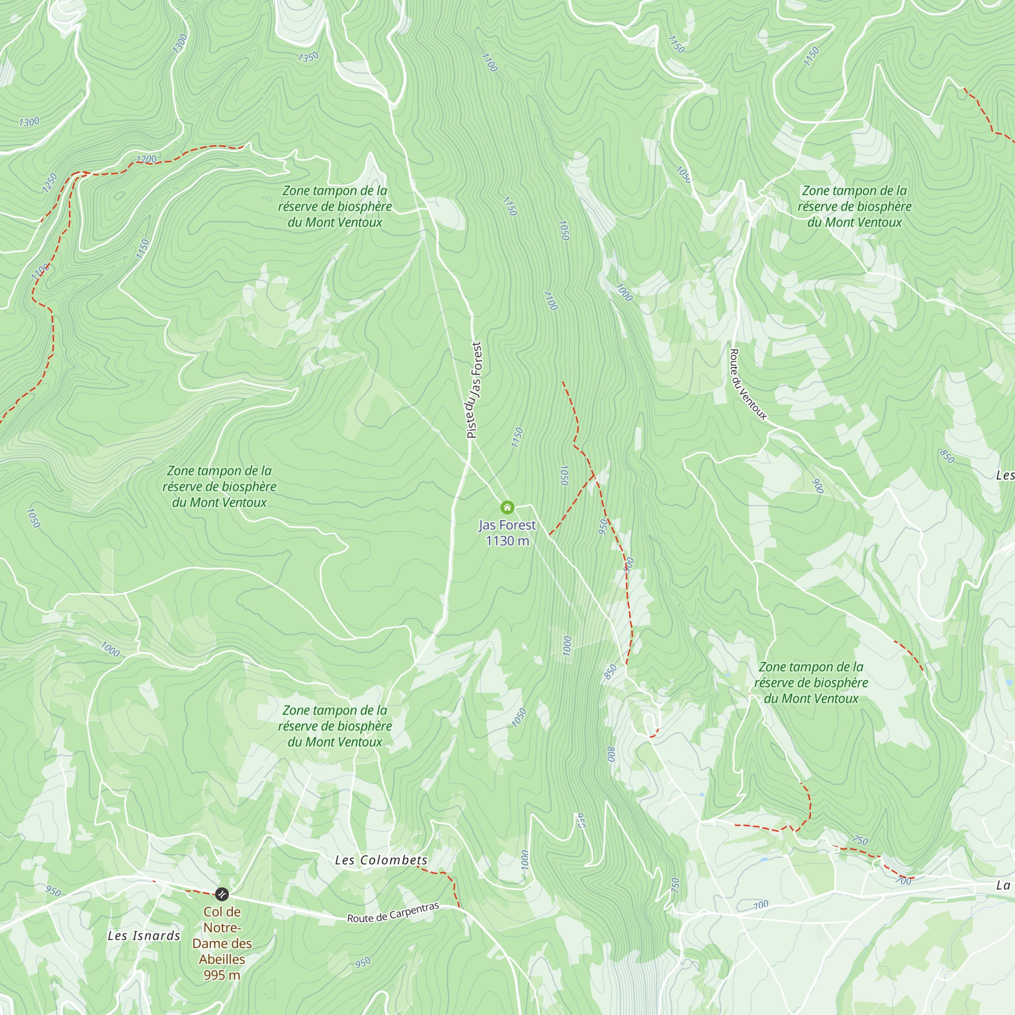 Jas Forest map