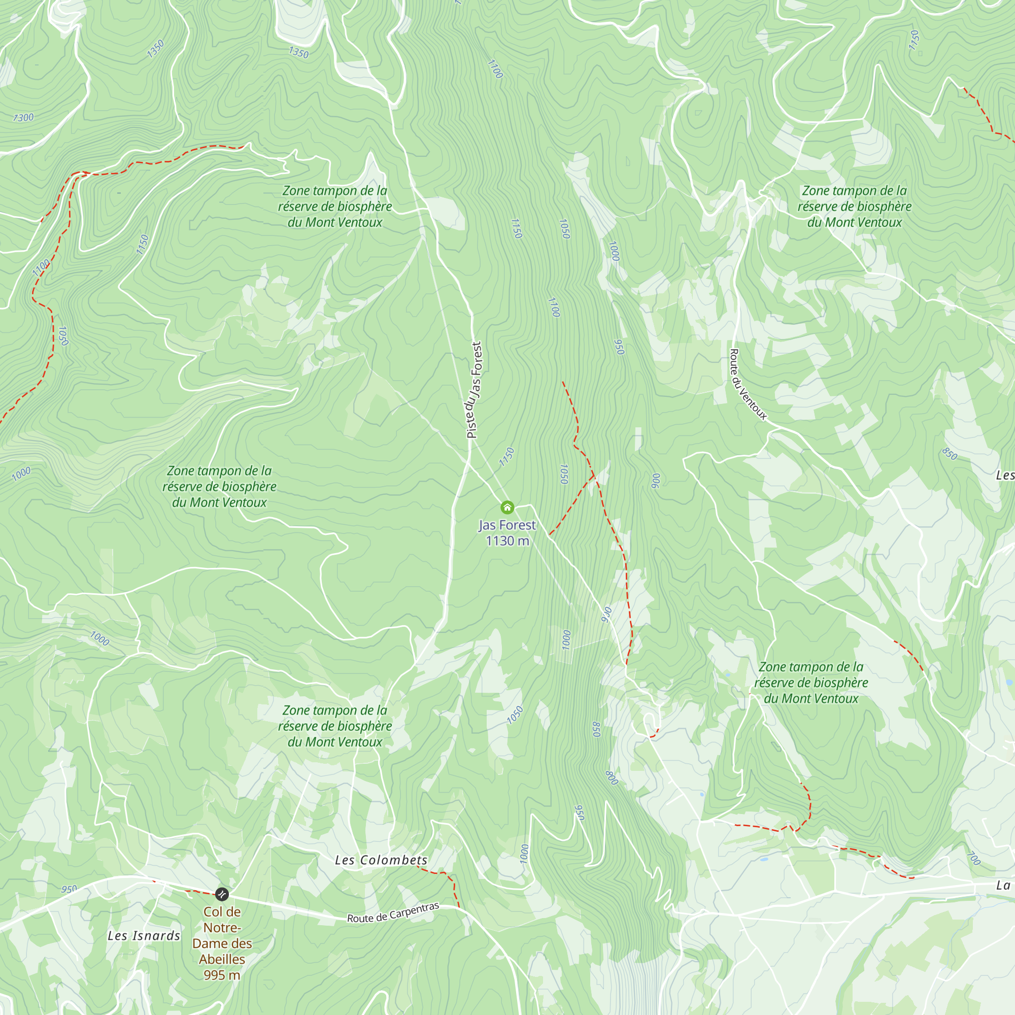 Jas Forest map