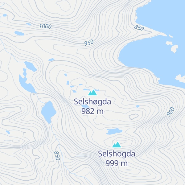 Map of Selshøgda
