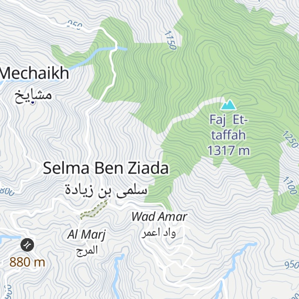 Map of Shriyaa