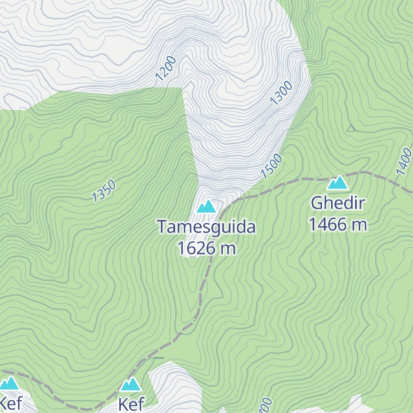 Map of Tamesguida