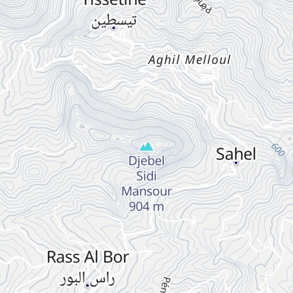 Map of Djebel Sidi Mansour