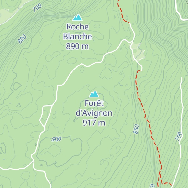 Map of Forêt d'Avignon