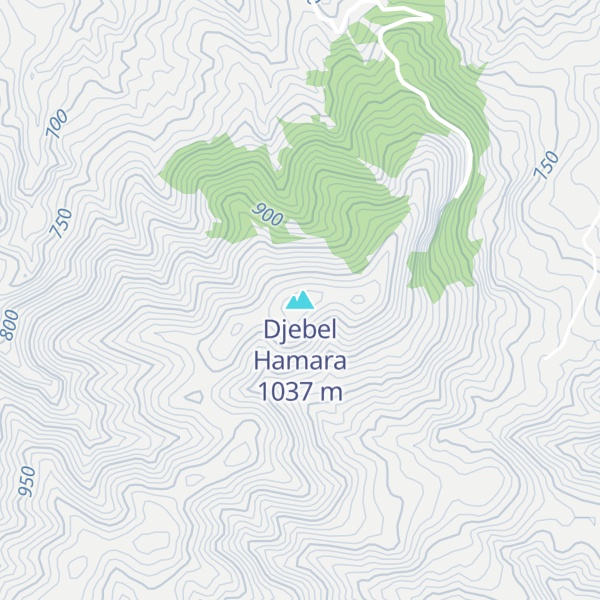 Map of Djebel Hamara
