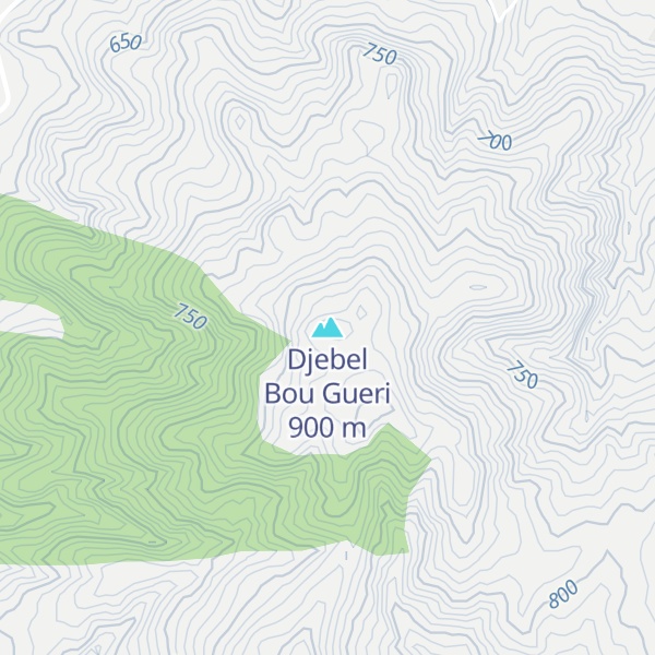 Map of Djebel Bou Gueri
