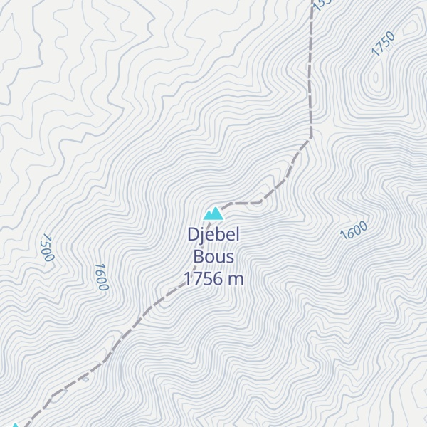 Map of Djebel Bous