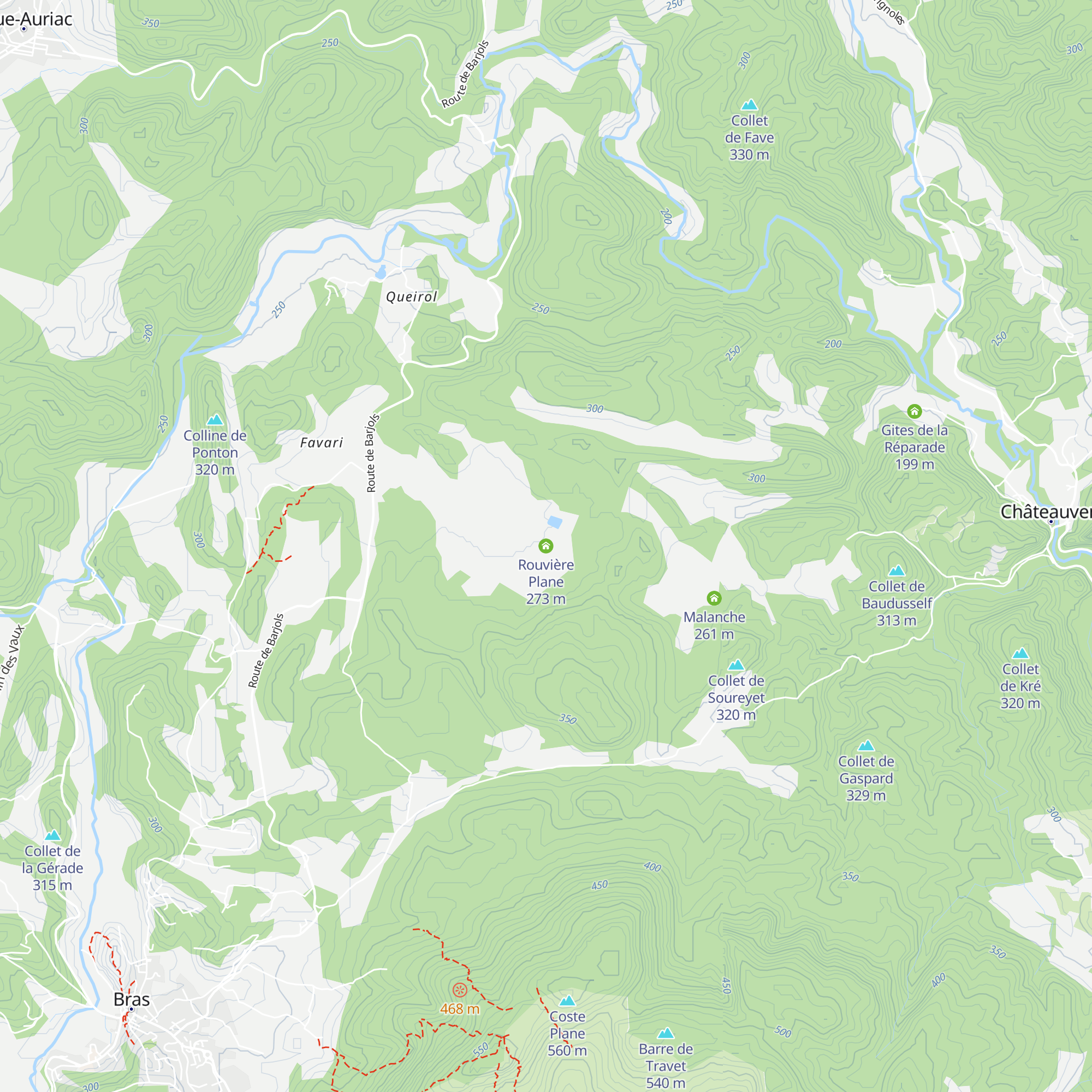 Rouvière Plane map