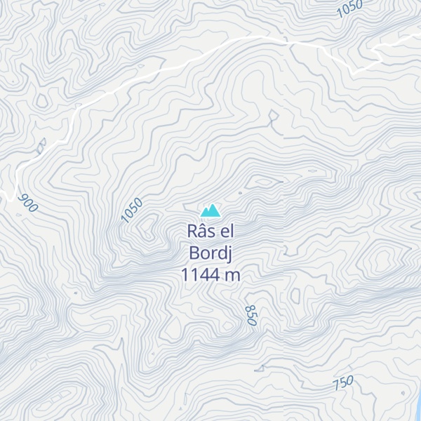Map of Râs el Bordj
