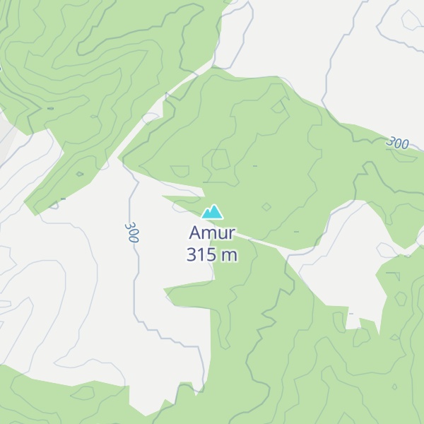Map of Amur