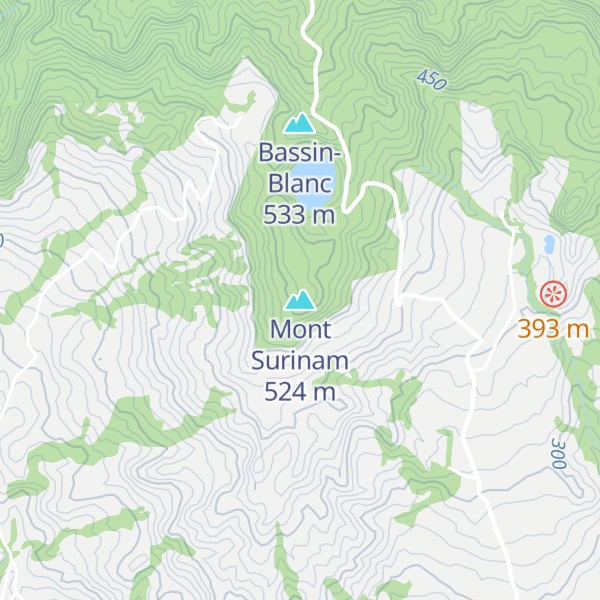 Map of Mont Surinam