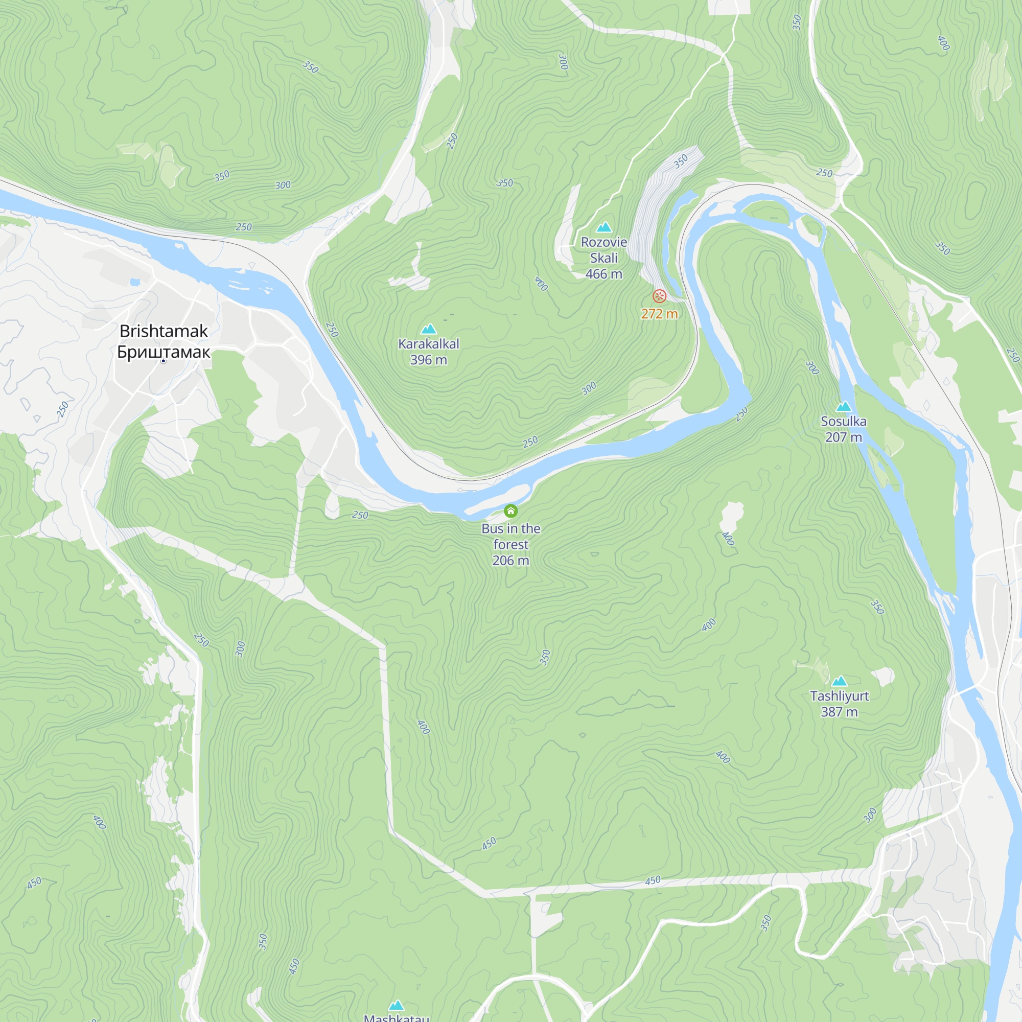 Bus in the forest map