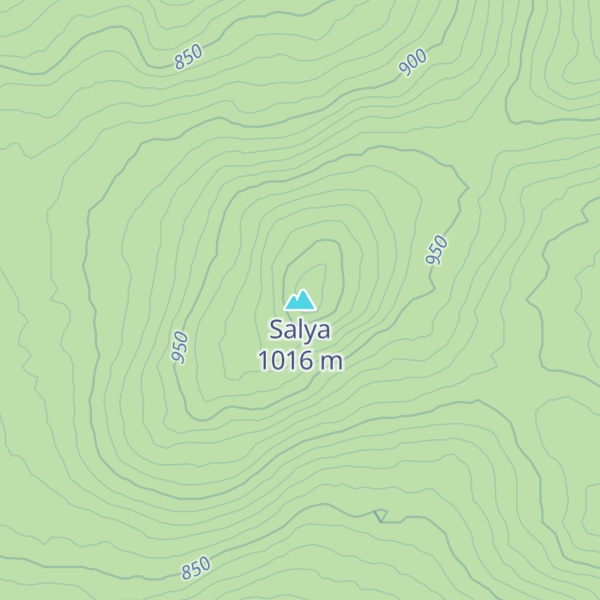 Map of Salya