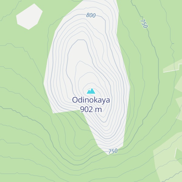 Map of Odinokaya