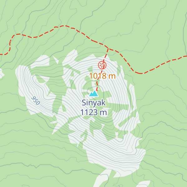Map of Sinyak