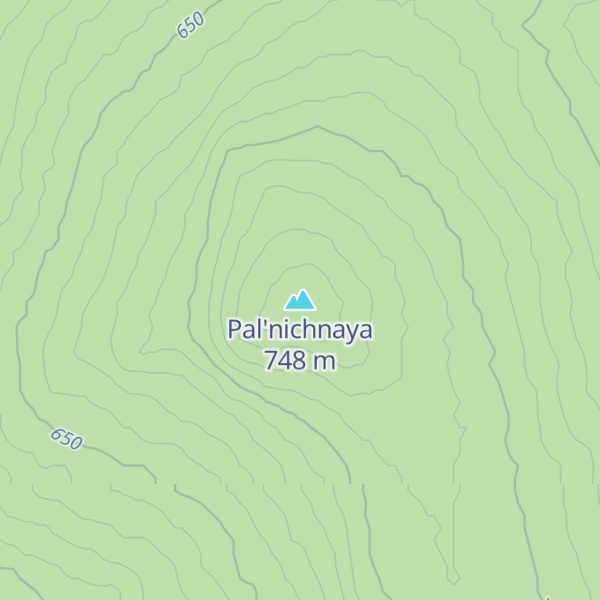 Map of Pal'nichnaya