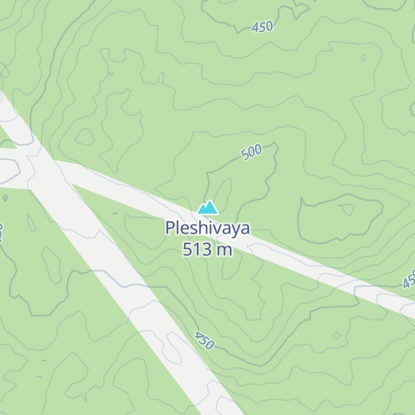 Map of Pleshivaya