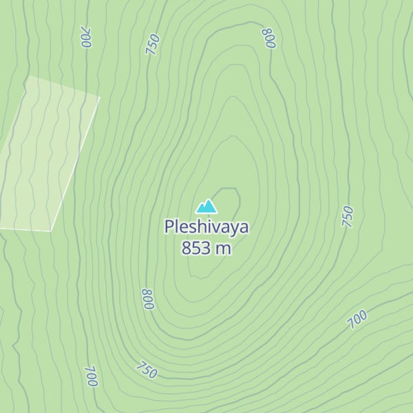 Map of Pleshivaya