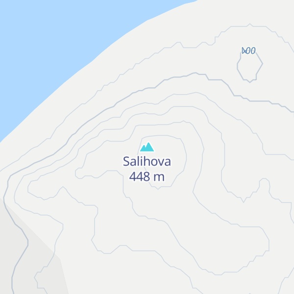 Map of Salihova