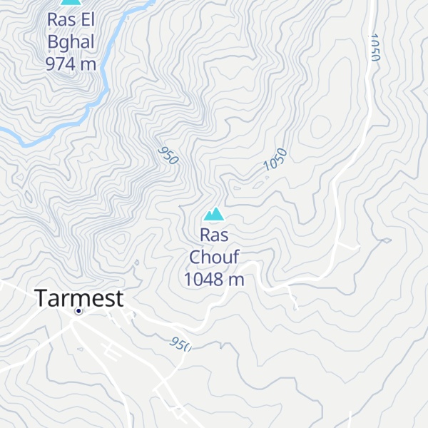 Map of Ras Chouf