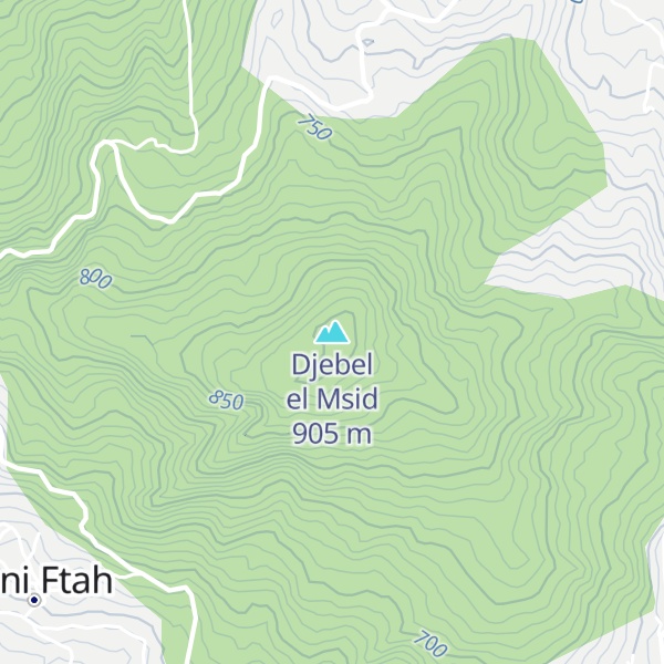 Map of Djebel el Msid