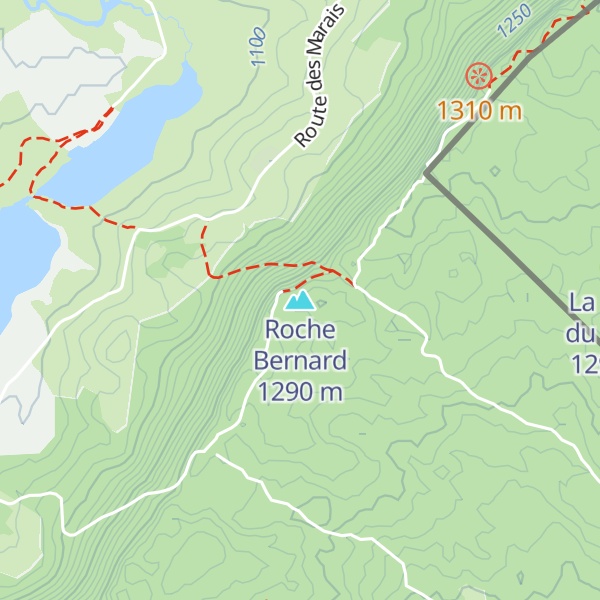 Map of Roche Bernard