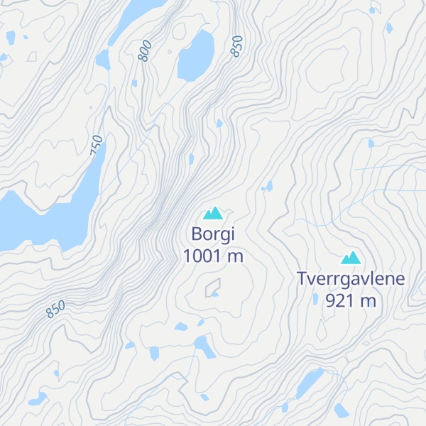 Map of Borgi