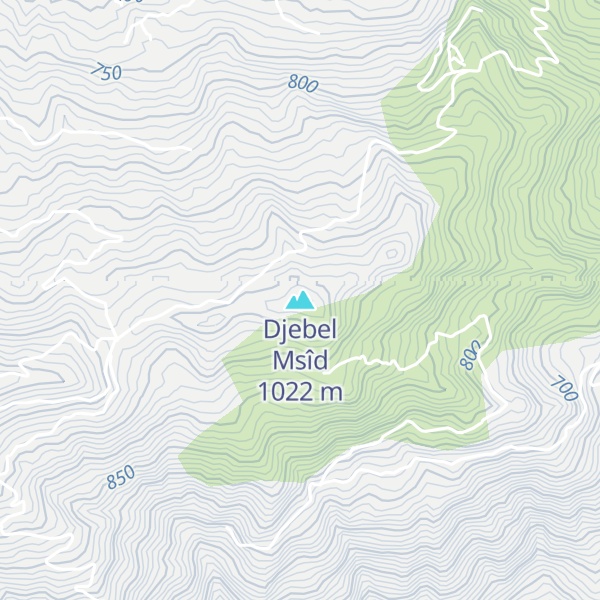Map of Djebel Msîd