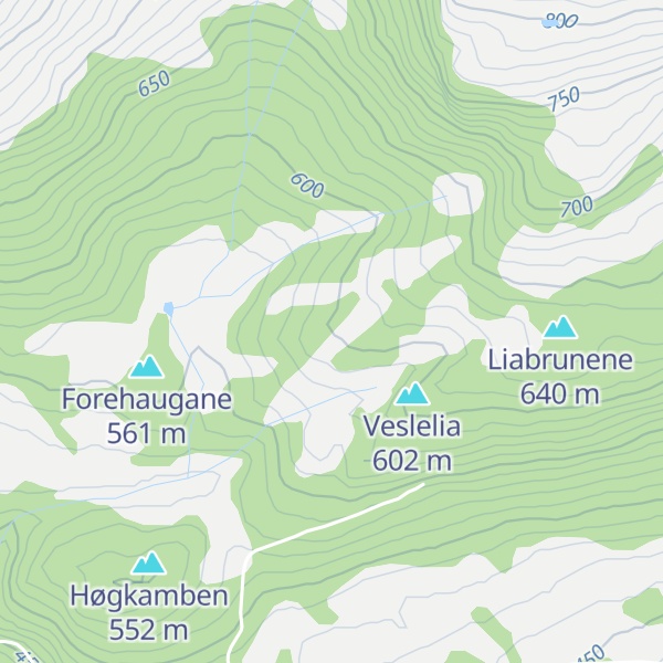 Map of Haugane