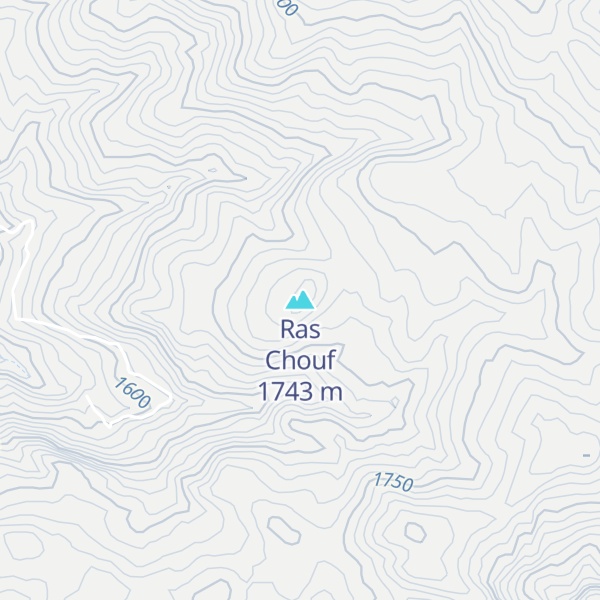 Map of Ras Chouf