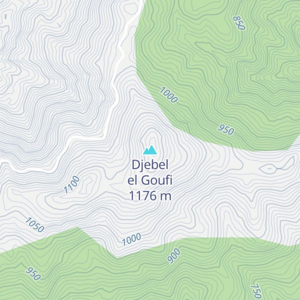 Map of Djebel el Goufi