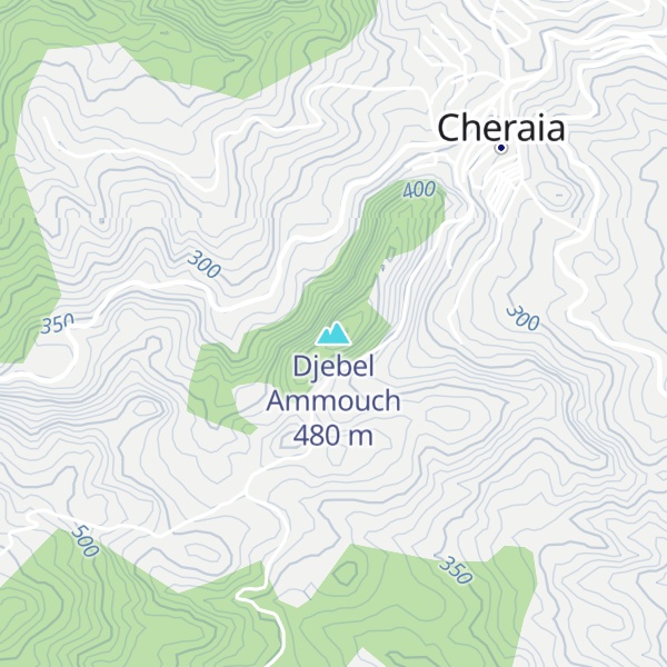 Map of Djebel Ammouch