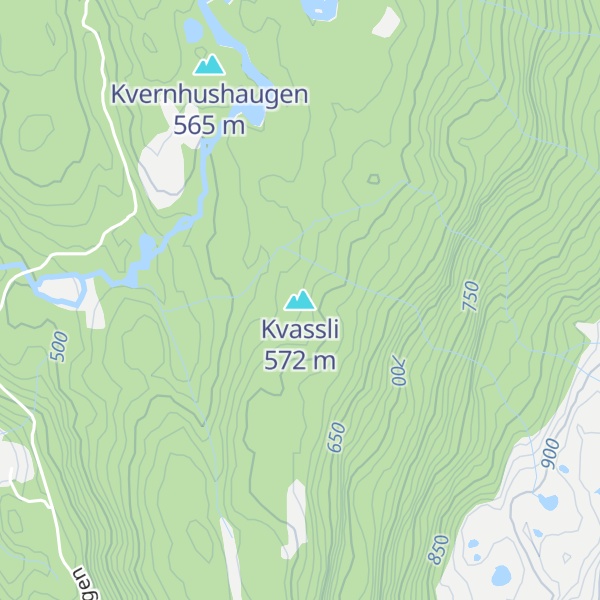 Map of Kvassli