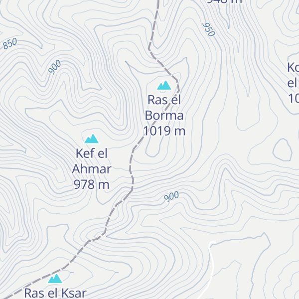 Map of Djebel el Borma