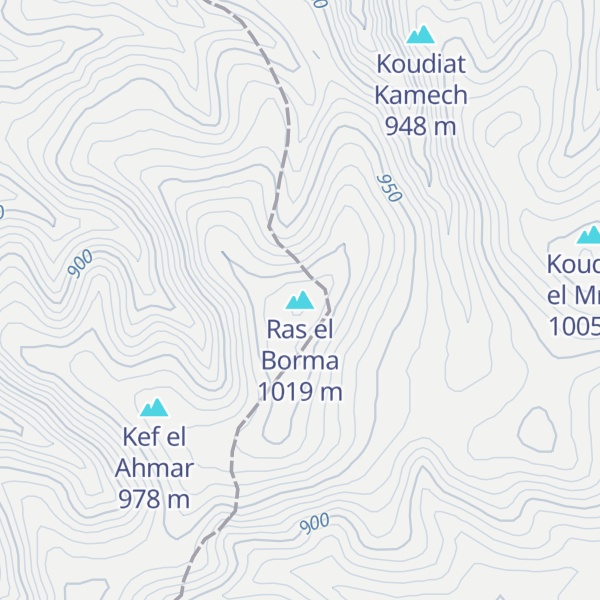 Map of Ras el Borma