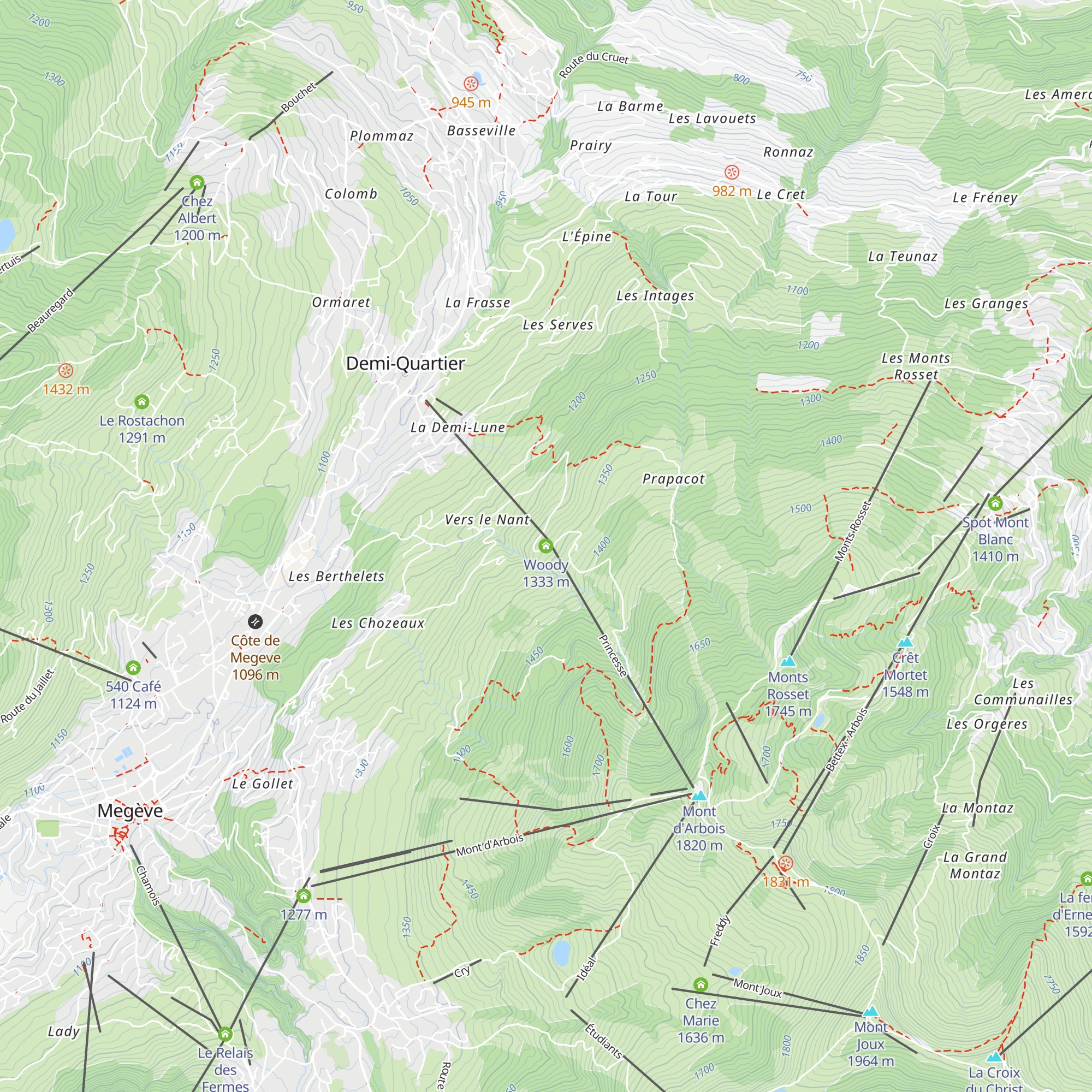 Woody map