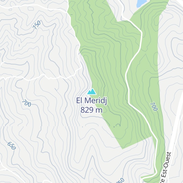 Map of El Meridj