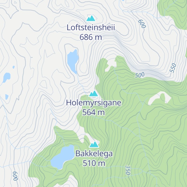 Map of Holemyrsigane