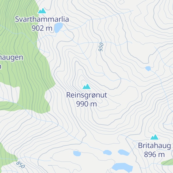 Map of Reinsgrønut