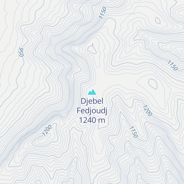 Map of Djebel Fedjoudj