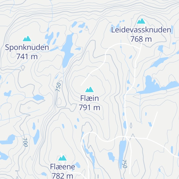 Map of Flæin