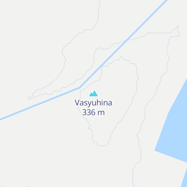 Map of Vasyuhina