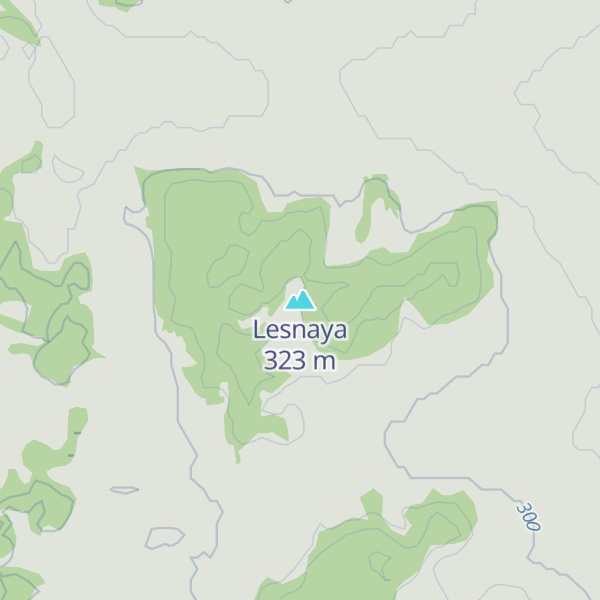 Map of Lesnaya