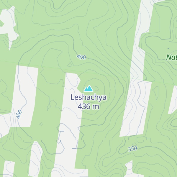 Map of Leshachya