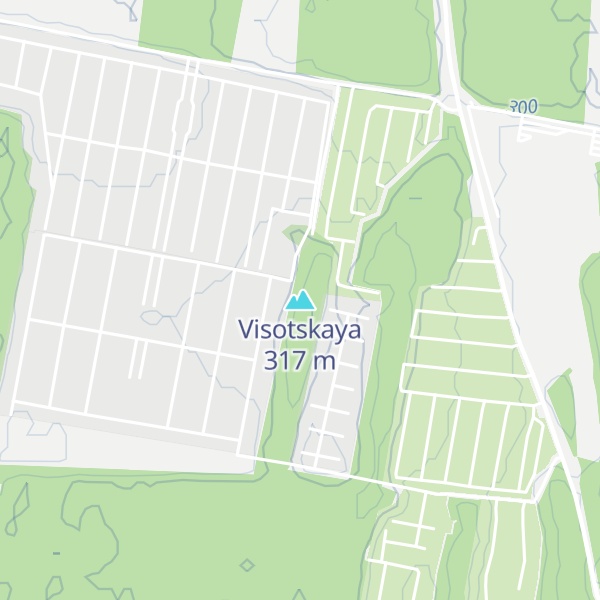 Map of Visotskaya