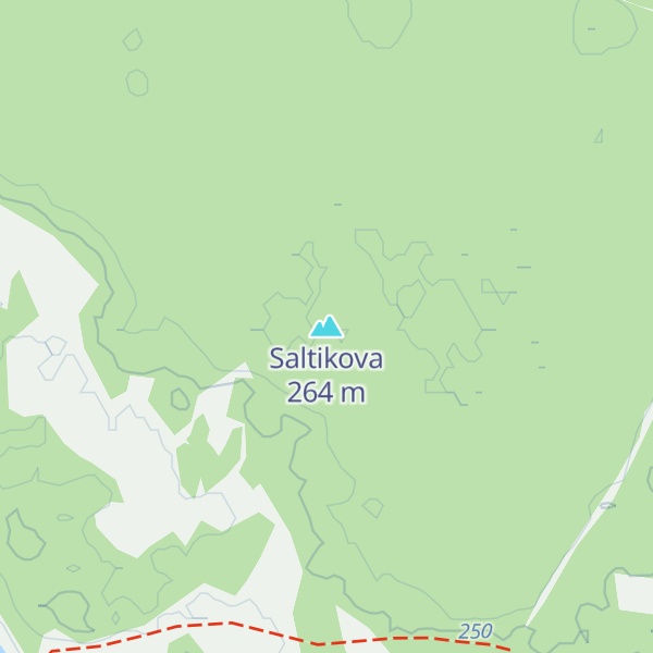 Map of Saltikova