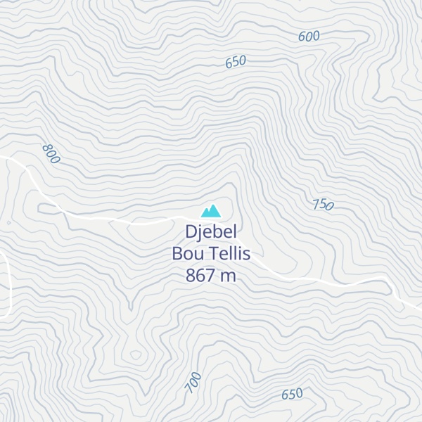 Map of Djebel Bou Tellis