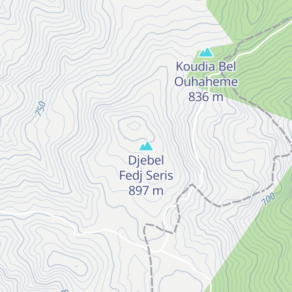 Map of Djebel Fedj Seris
