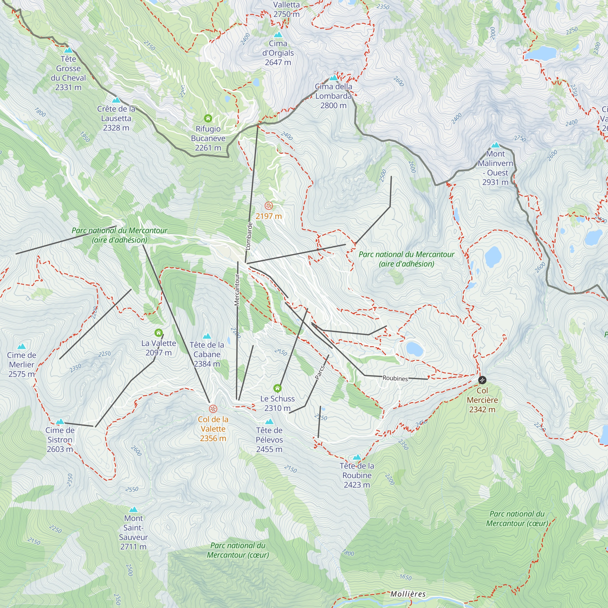 L'avalanche map