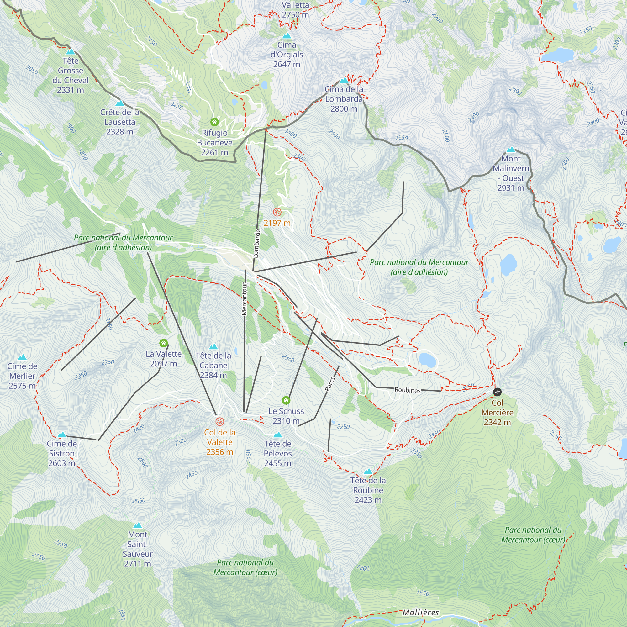 L'avalanche map