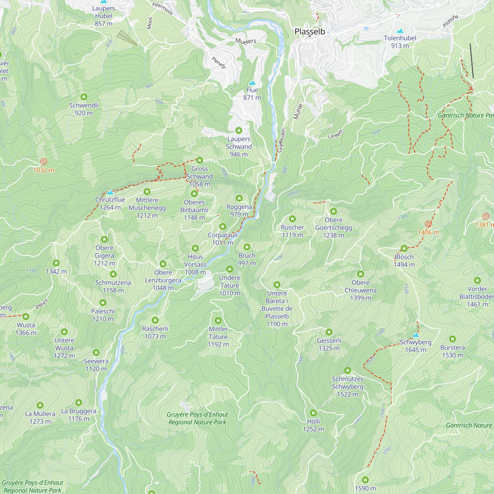 Bruch map